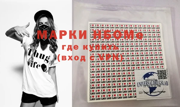 сатива Ельня