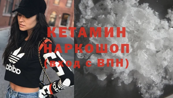 сатива Ельня